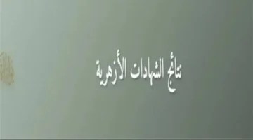 بوابة الأزهر الإلكترونية.. خطوات الاستعلام عن نتائج الشهادة الإعدادية برقم الجلوس